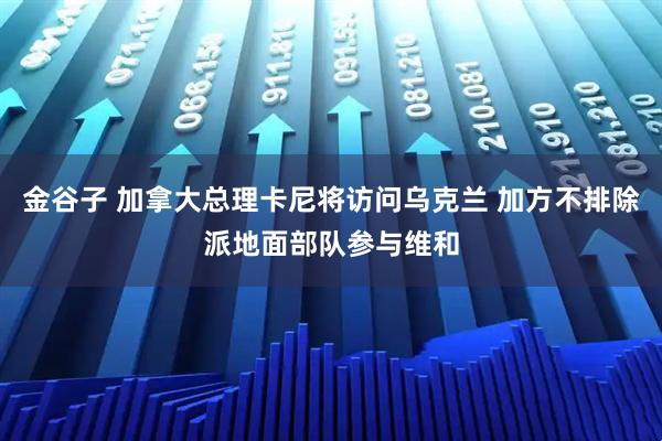 金谷子 加拿大总理卡尼将访问乌克兰 加方不排除派地面部队参与维和