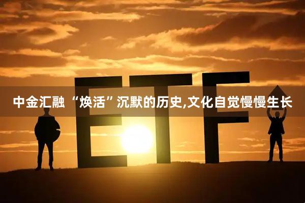 中金汇融 “焕活”沉默的历史,文化自觉慢慢生长