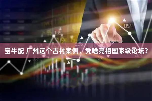 宝牛配 广州这个古村案例，凭啥亮相国家级论坛？