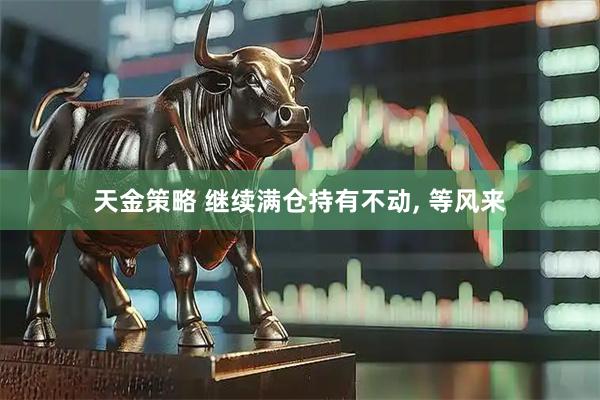 天金策略 继续满仓持有不动, 等风来