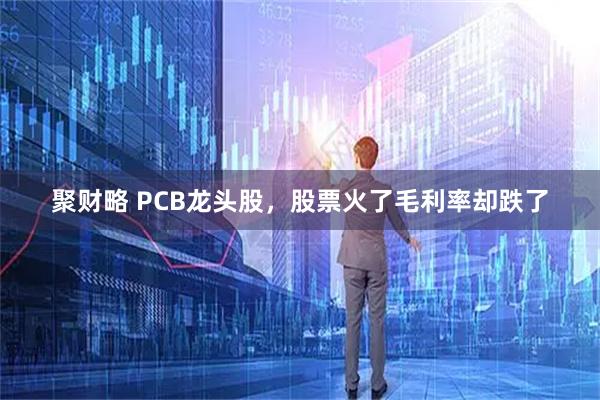 聚财略 PCB龙头股，股票火了毛利率却跌了